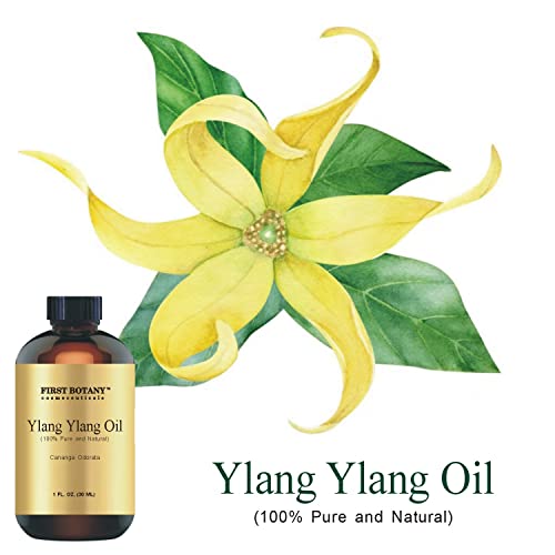 100% Pure Ylang Ylang Oil - Premium Ylang-Ylang Essential Oil for Aromatherapy, Massage, Topical & Household Uses - 1 fl oz (Ylang Ylang)