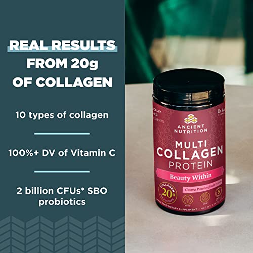 Ancient Nutrition Collagen Powder Protein, Multi Collagen Protein Beauty Within, Guava Passionfruit, with Vitamin C, Hydrolyzed Collagen Peptides Supports Healthy Skin and Nails, 18.4oz