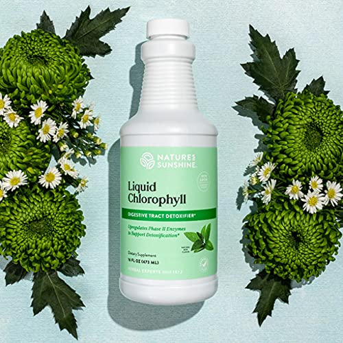 Nature's Sunshine Liquid Chlorophyll - Immunity Support, Detox & Cleanse, Chlorophyll Liquid Drops with Spearmint Oil, Natural Energy Boost, Internal Deodorant - 16 Fl Oz