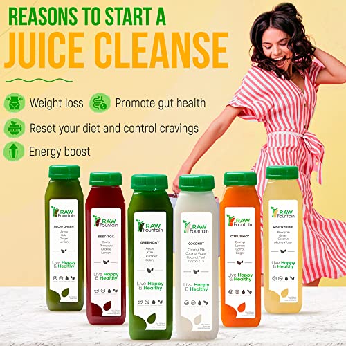 3 Day Juice Cleanse by Raw Fountain, All Natural Raw Detox Cleanse, Weight Management Program, Cold Pressed Fruit and Vegetable Juices, Tasty and Energizing, 18 Bottles 12oz, 3 Ginger Shots