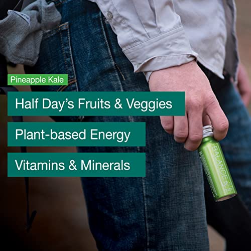 1/2 Day of Fruits & Vegetables Green Superfood Shot, Organic, Fruits, Vegetables, Greens, 2oz Daily Green Drink, Take on The Go, Smoothie Juice Cleanse, Vegan, Gluten-Free (24 Pack)