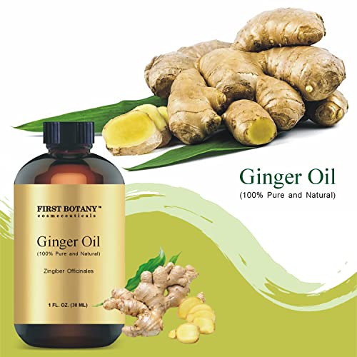 100% Pure Ginger Essential Oil - Premium Ginger Oil for Aromatherapy, Massage, Topical & Household Uses - 1 fl oz (Ginger)