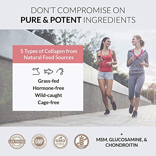 Alaya Multi Collagen Powder - Type I, II, III, V, X Hydrolyzed Collagen Peptides Protein Powder Supplement with MSM + GC (Unflavored) (40 Servings)