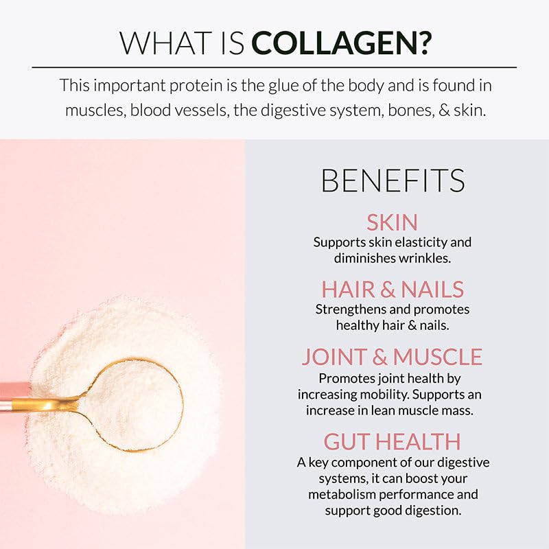 Alaya Multi Collagen Powder - Supports Hair, Skin, Nails & Bone Health for Women and Men - 5 Types Hydrolyzed Collagen Peptides Protein Powder Supplement with MSM + Glucosamine (20 Serving)