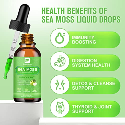 B BEWORTHS Sea Moss Liquid Drops - Organic Irish Sea Moss Gel with Burdock Root, Vitamin C, B12, 3000mg Seamoss Gel Supplement for Immune, Joint & Thyroid, Detox Cleanse & Digestive Support - 2 Fl Oz