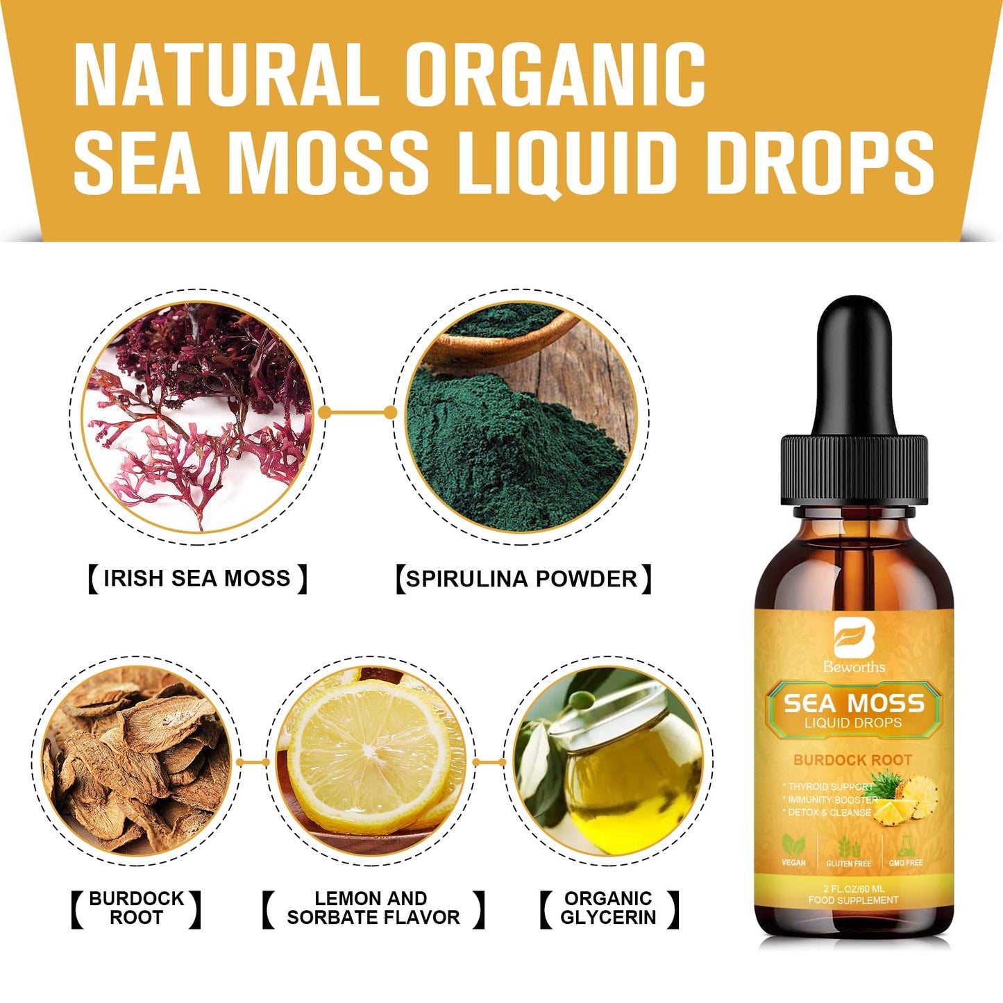 B BEWORTHS Sea Moss Liquid Drops - Organic Irish Sea Moss Gel with Burdock Root Supplement, Seamoss Gel for Immune Support, Joint & Thyroid Support, Detox Cleanse & Digestion Support